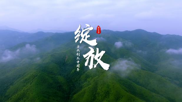 《绽放》